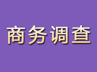 马鞍山商务调查